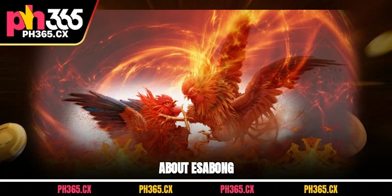 About E-sabong