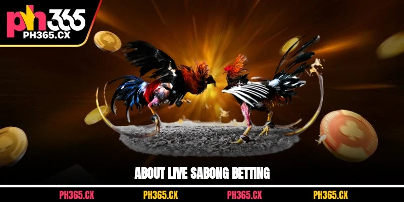 About live sabong betting