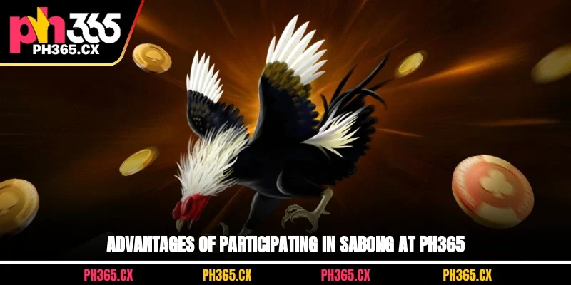 Advantages of participating in sabong at PH365
