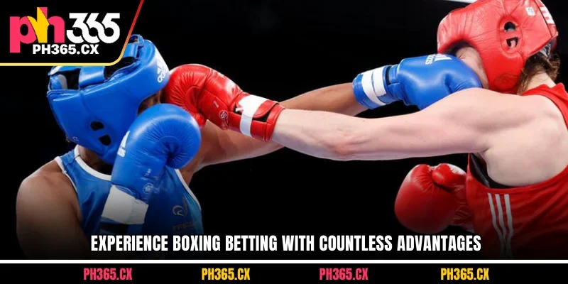 Experience boxing betting with countless advantages
