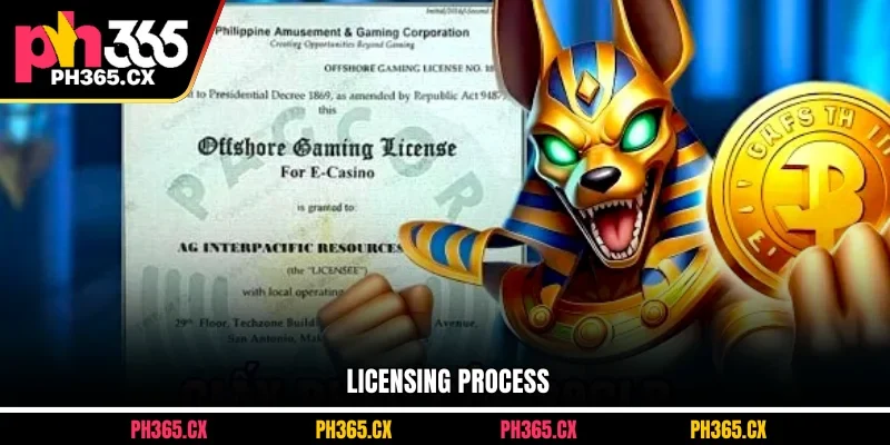 Licensing process