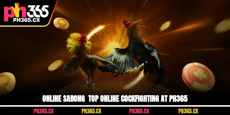 Online Sabong at PH365 – Premium Cockfighting Experience