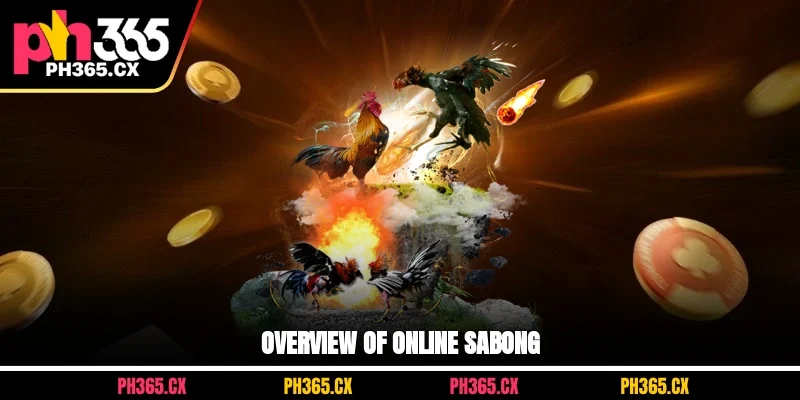 Overview of online sabong at PH365 - livestream, fair betting